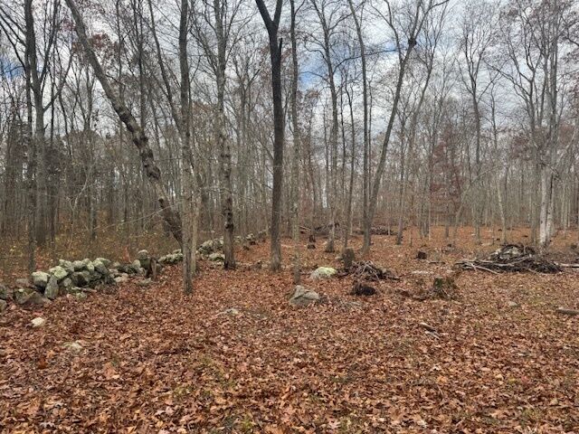 Property Photo: 982 Vauxhall St Extension CT 06375