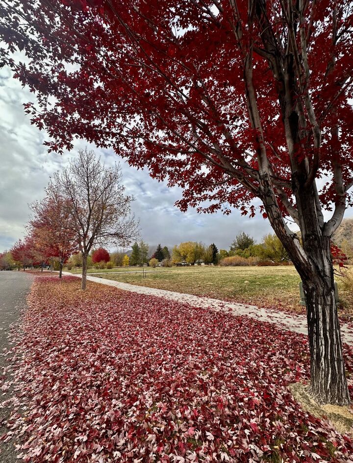 731 Cd Olena Dr  Hailey ID 83333 photo