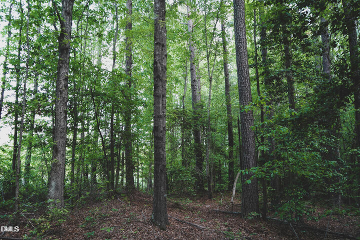 Property Photo:  Lot 4 Arthur Wilder Road  NC 27882 