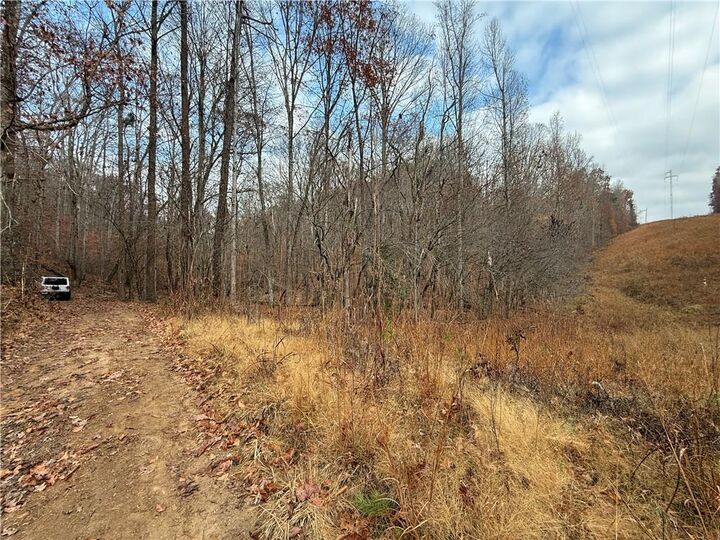 Property Photo:  0 Falling Pines Road  GA 30533 