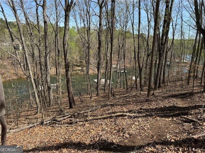 Property Photo:  0 Bethel Rd (296 128 &Amp 296 132) Road  GA 30506 