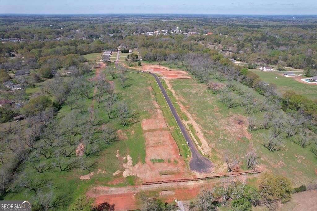 Property Photo:  157 Chinaberry Street  GA 31822 