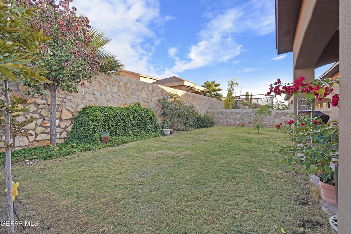 Property Photo:  3154 Mocha Freeze Street  TX 79938 