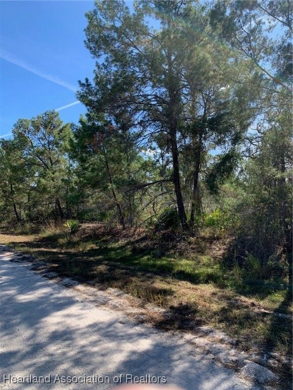 Property Photo:  1222 Cockatoo Avenue  FL 33852 