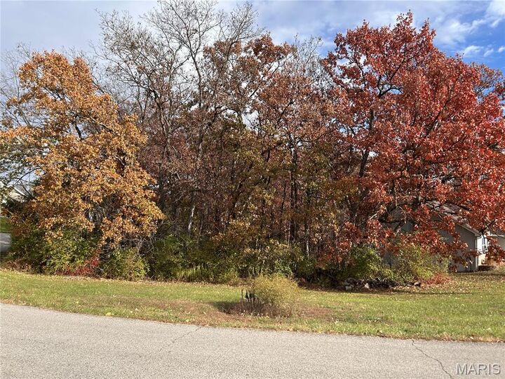 Property Photo: Lot 81 Village Lane MO 63348
