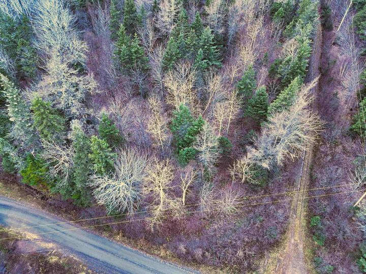Property Photo:  Maceachern Road  NS B0E 1P0 