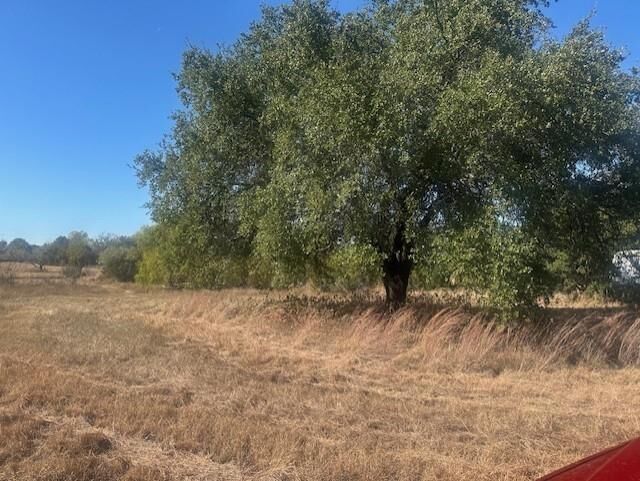 Property Photo: 8913 S Peaceful Court TX 76048