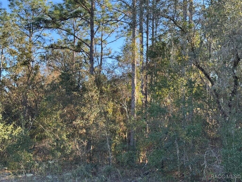 Property Photo:  3144 W Marie Drive  FL 34433 