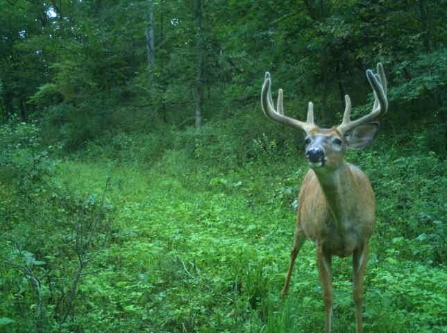 32974 Potter Lane  Muscoda WI 53573 photo