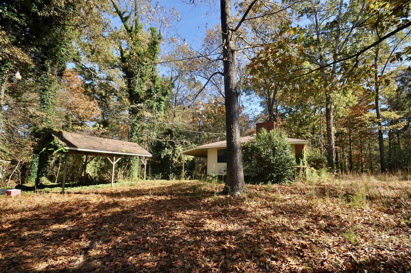 Property Photo:  170 Co Rd 1635  AL 35058 - CULLMAN 