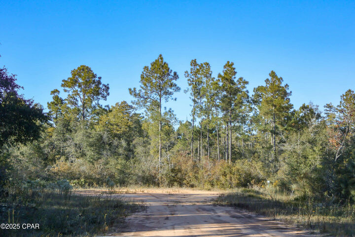 Property Photo:  Tbd Broadview Avenue  FL 32420 
