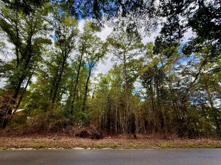 Property Photo:  Lot 3 N Norwood Road  FL 32433 