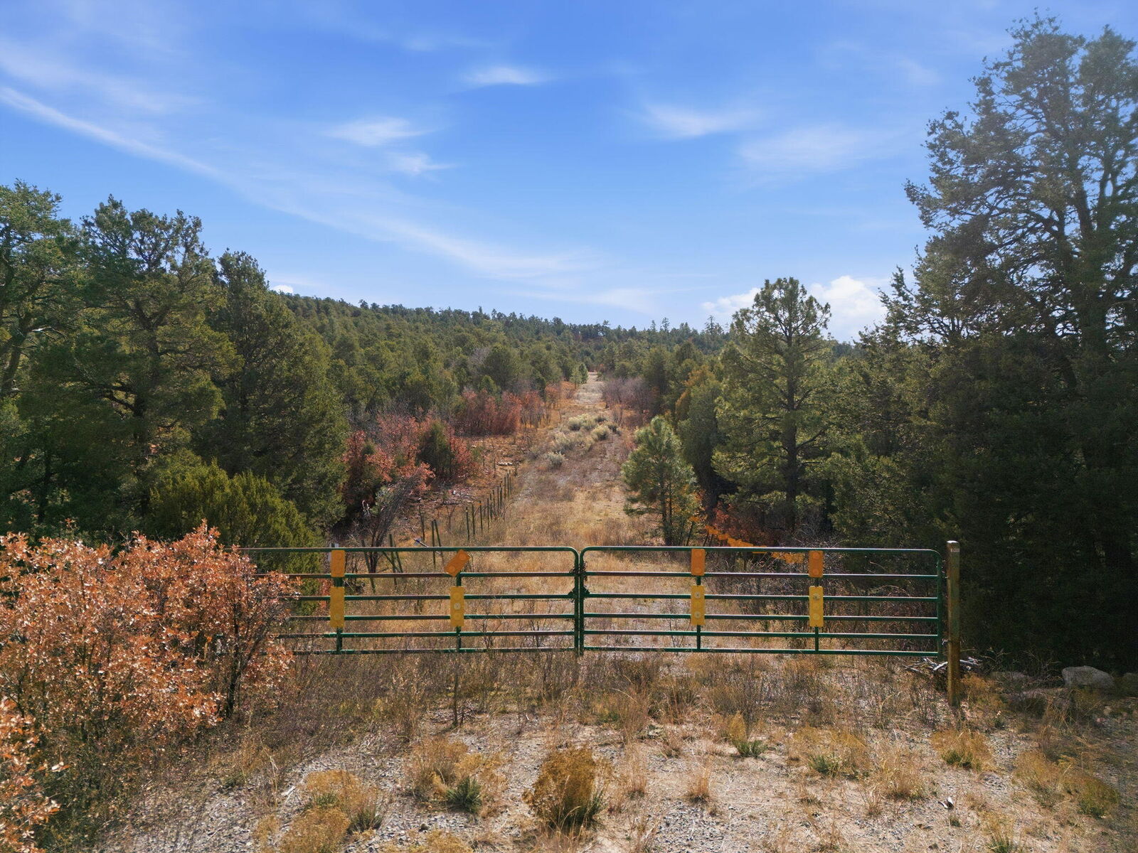 Property Photo: 5 Hayner Court NM 87059