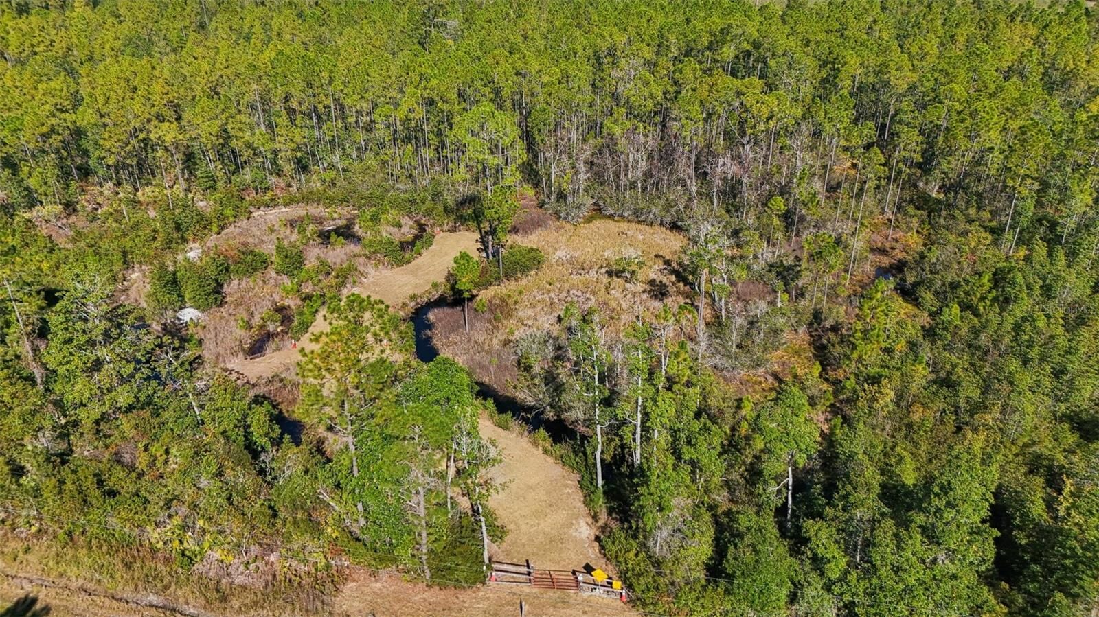 Property Photo:  NE 212th Street Road  FL 32134 