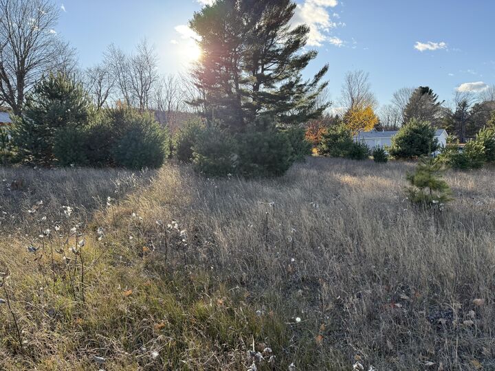 Property Photo: 001 Ninth Street MI 49614