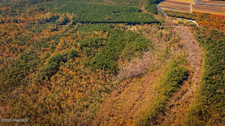 Property Photo: 4497 Old Hwy 64 NC 27925