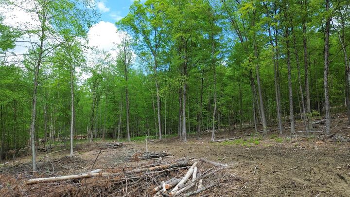 Property Photo:  Lot 26-4 Plain Road  NH 03451 