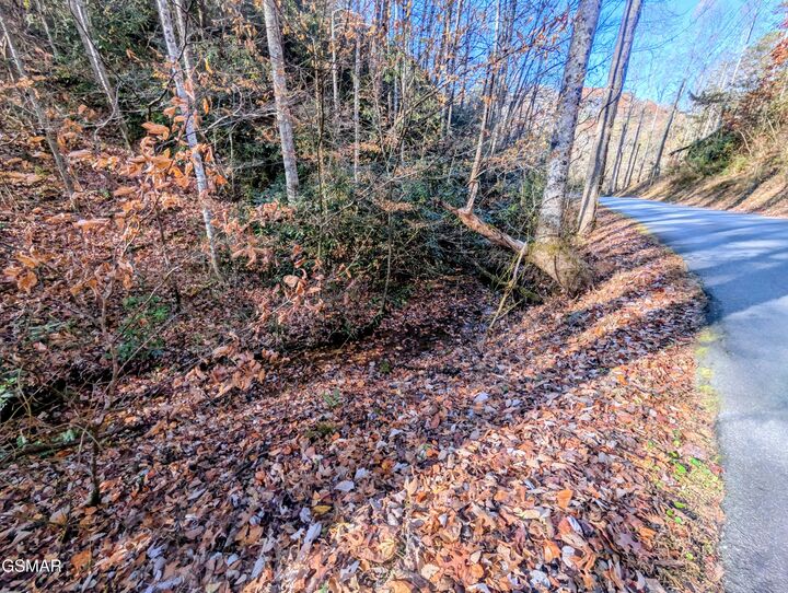 Property Photo:  Lot 1908 Rose Pass  TN 37876 