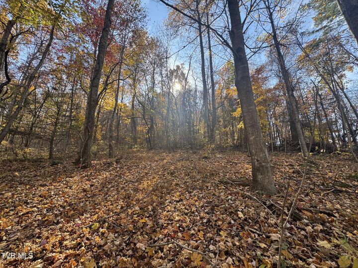 Property Photo: 119 Rhododendron Lane TN 37601