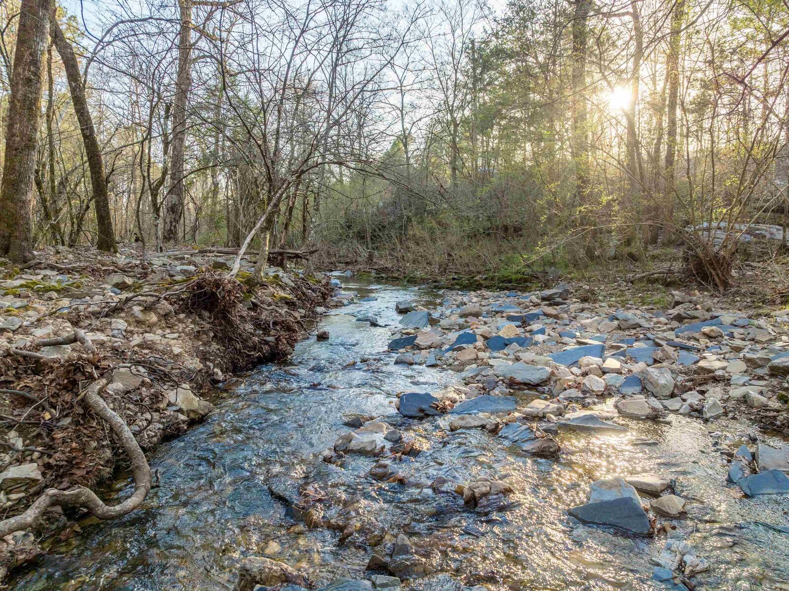 Property Photo: Tbd Cedar Creek Road AR 71901