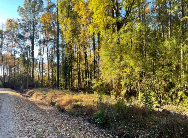 Property Photo: 0 Dig It Rd SC 29483