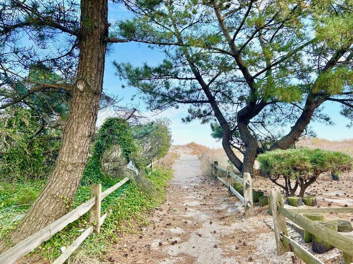 Property Photo:  26 73rd  NJ 08243 