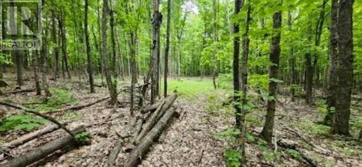 Property Photo:  . South Of East Line Rd  ON P0R 0A1 