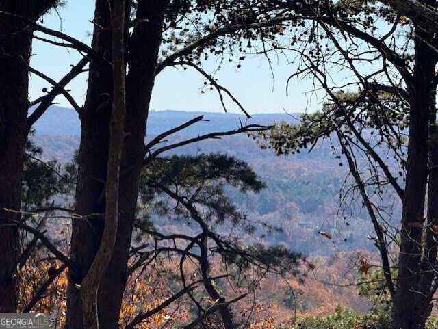 Property Photo:  0 John Call Road  GA 30175 