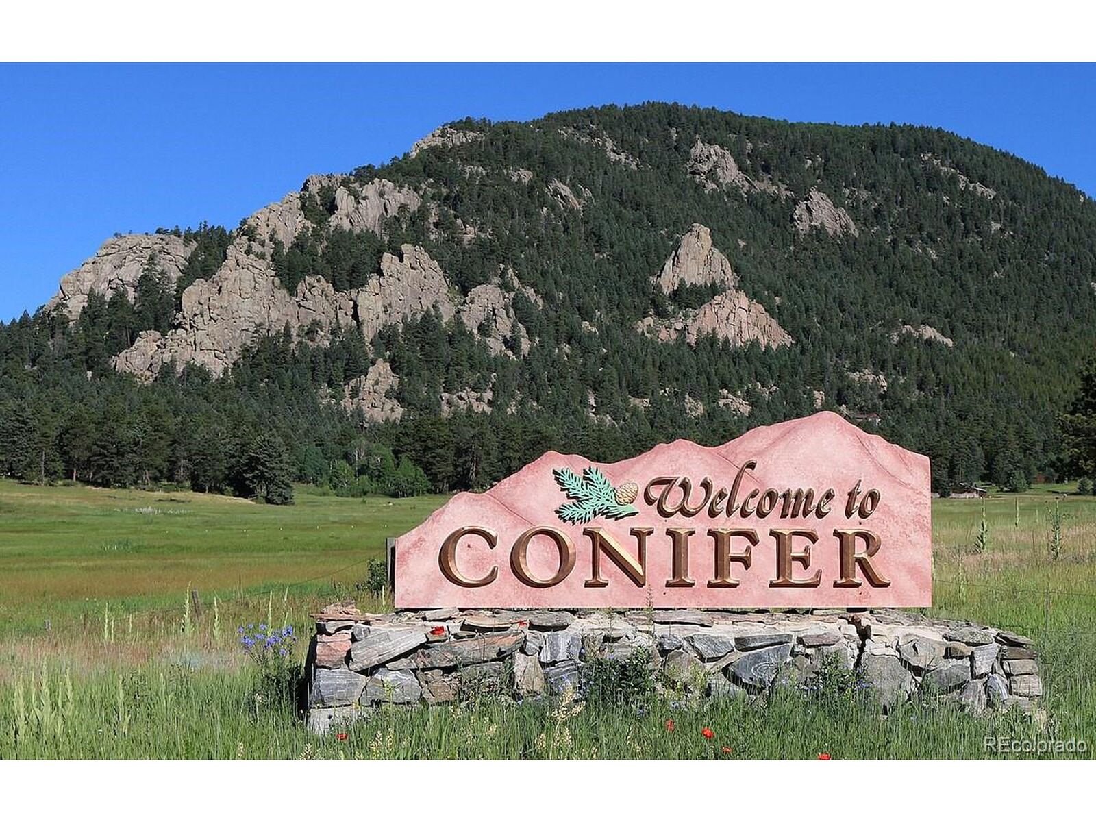 Property Photo:  27551 Molly Dr  CO 80433 