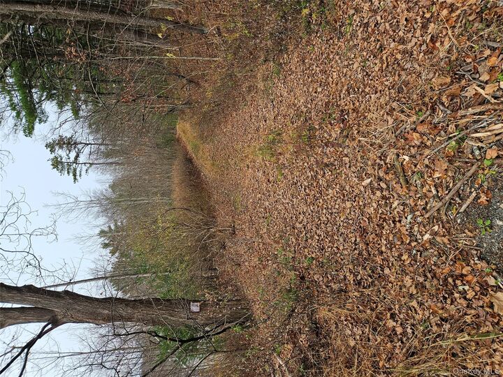 Property Photo: 23 Gardner Drive NY 12771