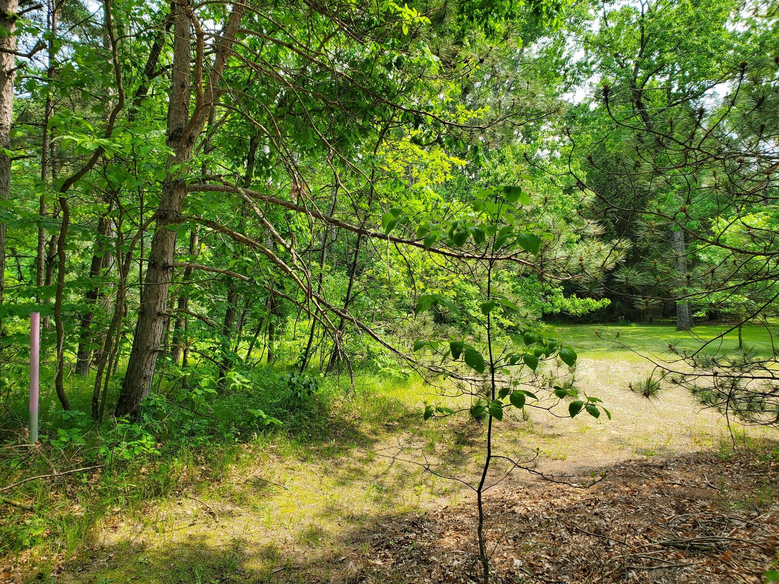 Property Photo: 998 E Monroe Street MI 49349