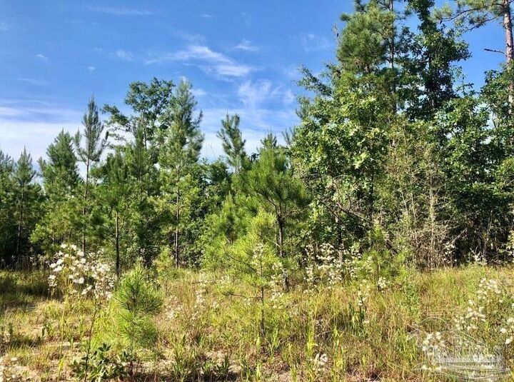 Property Photo: Lot 17 Bs Buffalo Ridge Rd FL 32571