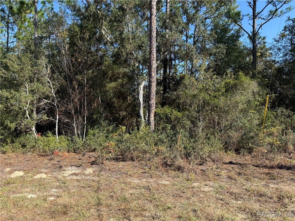 Property Photo:  11089 N Frantz Avenue  FL 34434 