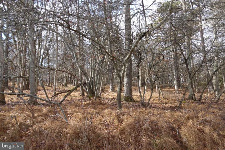 Lot D1922 Old Stage Road  Albrightsville PA 18210 photo