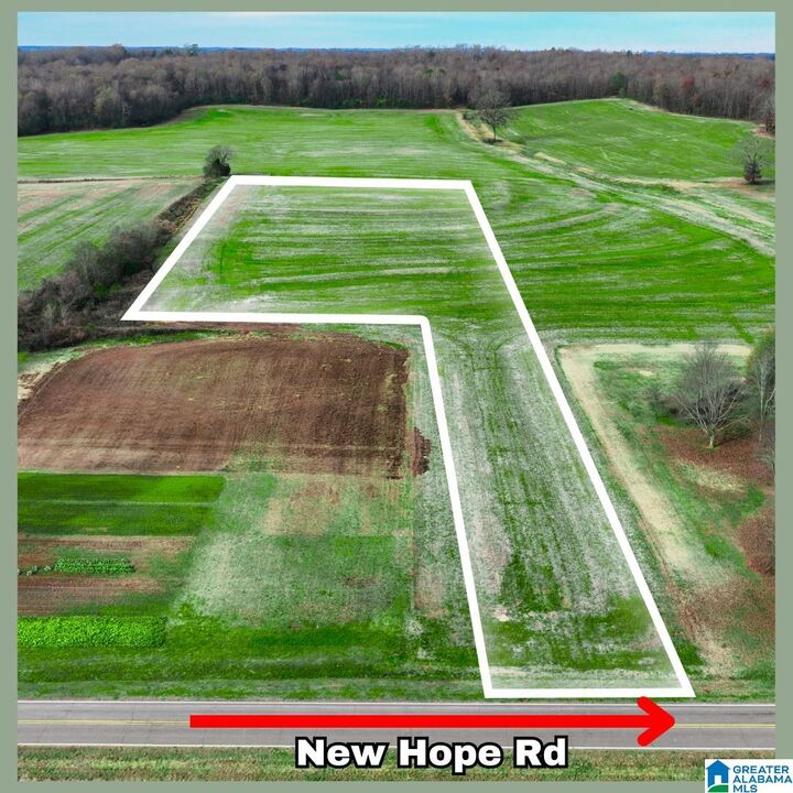 Property Photo: 0 New Hope Road 0 AL 35756