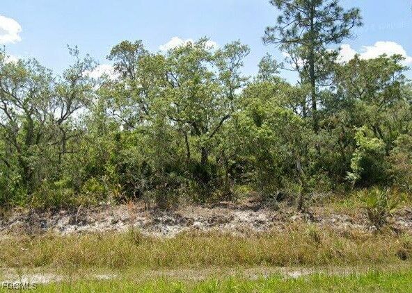 Property Photo:  978 Archie Summers Road  FL 33852 