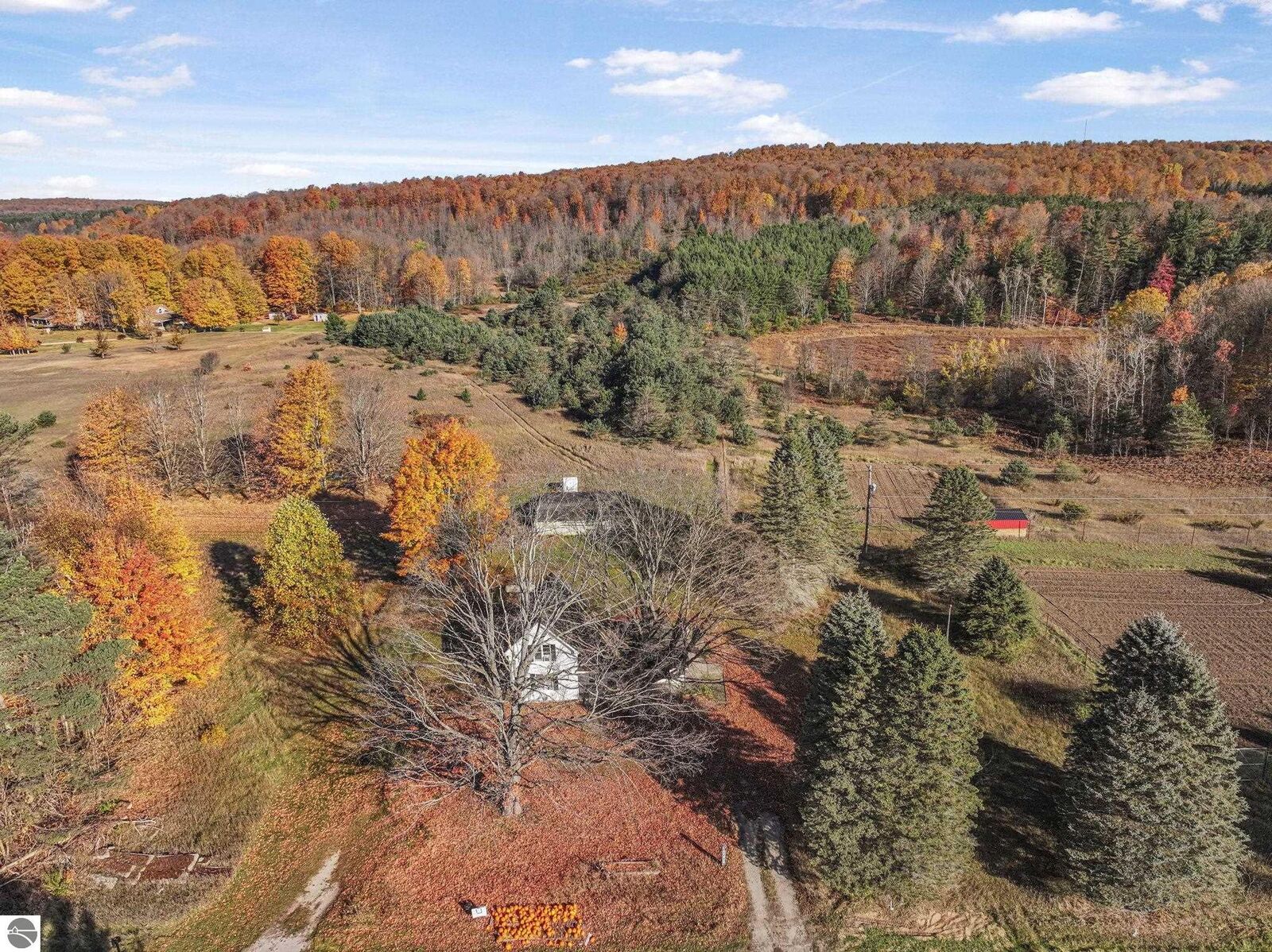 Property Photo: 10308 Homestead Road MI 49617