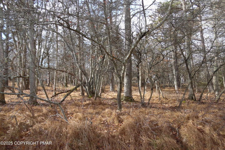 D1922 Old Stage Road  Albrightsville PA 18210 photo