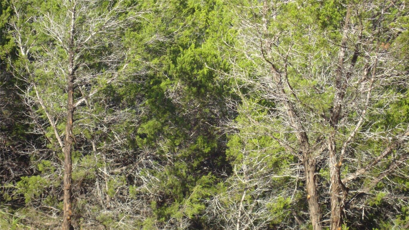 Property Photo: 13904 & 13902 Saskatchewan Drive TX 78734