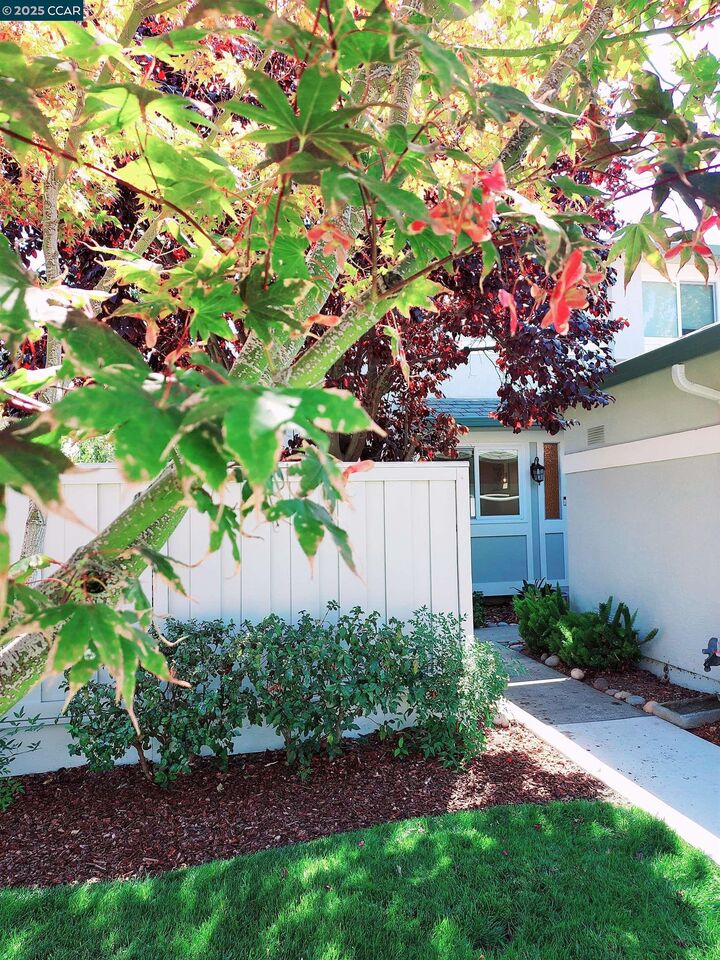 Property Photo:  1936 Nero Ct  CA 94598 