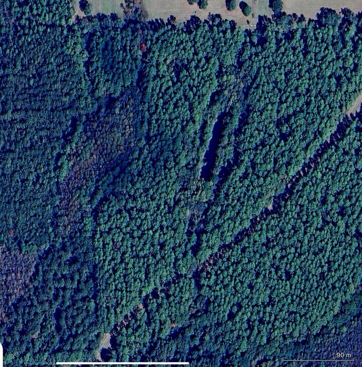 Property Photo: 5 Canopy Oaks Blvd FL 32425