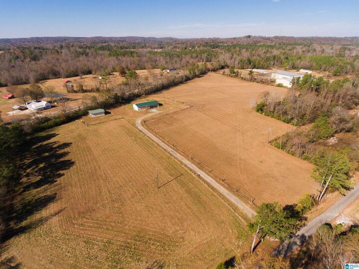 325 Washington Avenue  Wellington AL 36279 photo