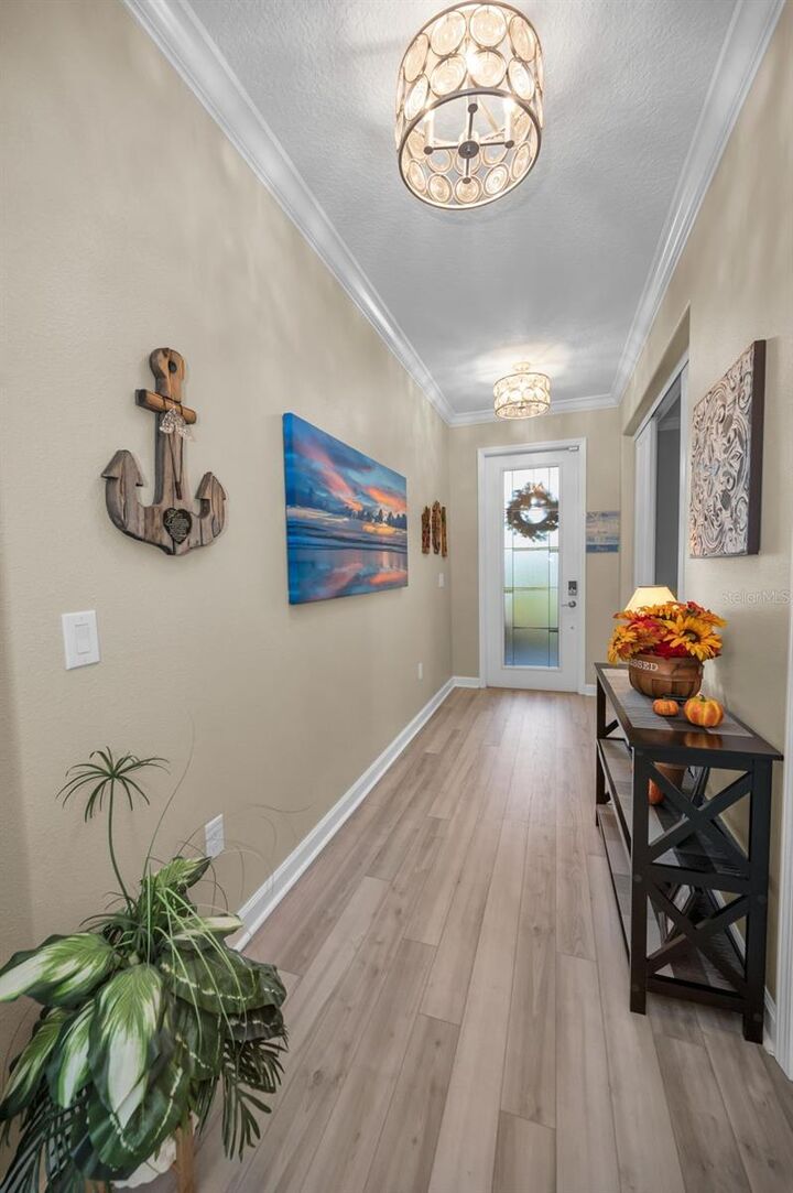 Property Photo: 31763 Cabana Rye Avenue FL 33576