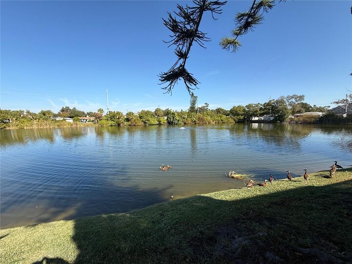 Property Photo:  3342 W Wyoming Circle  FL 33611 