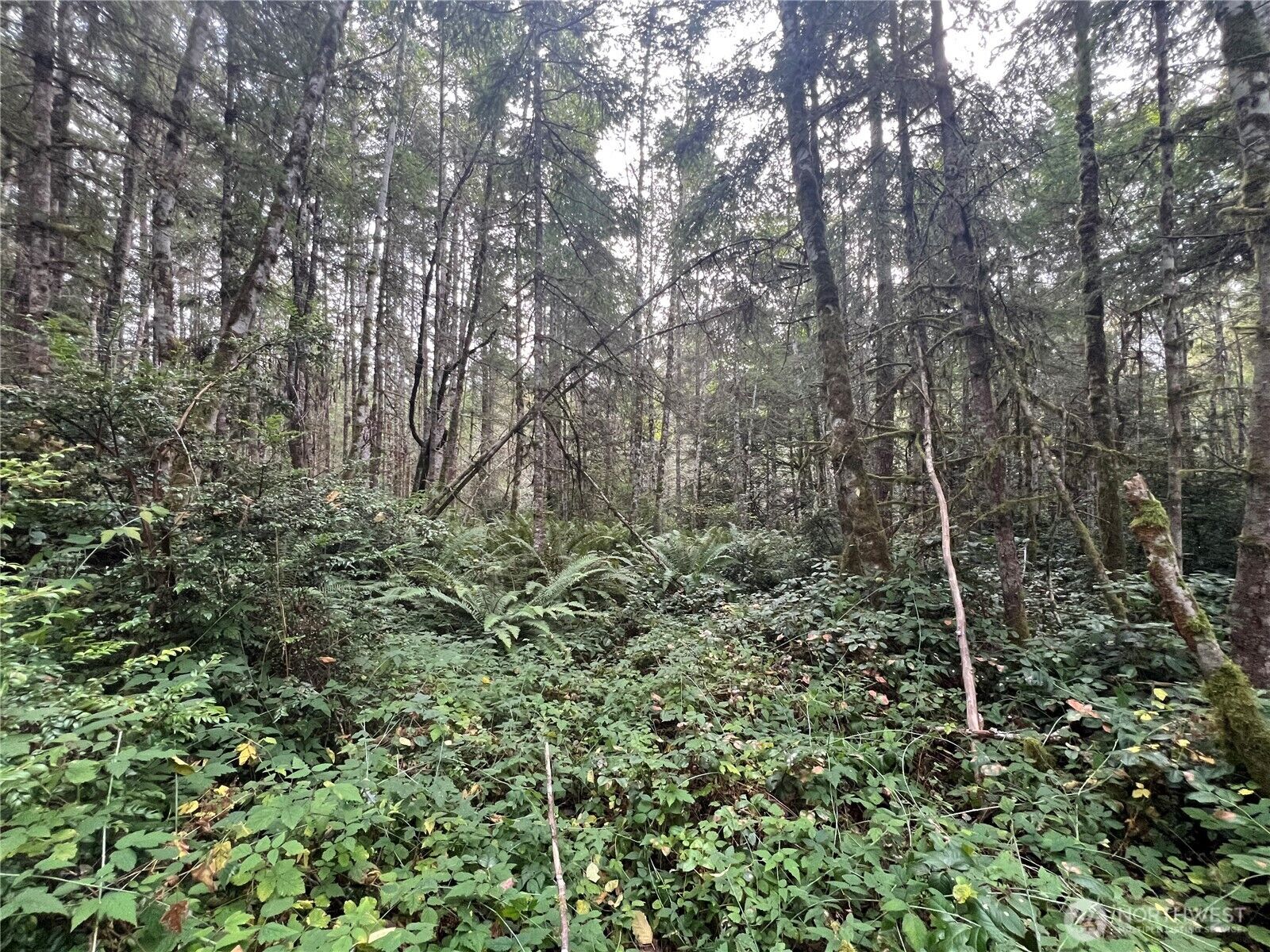 Property Photo: 2 Xx View Drive NE WA 98370