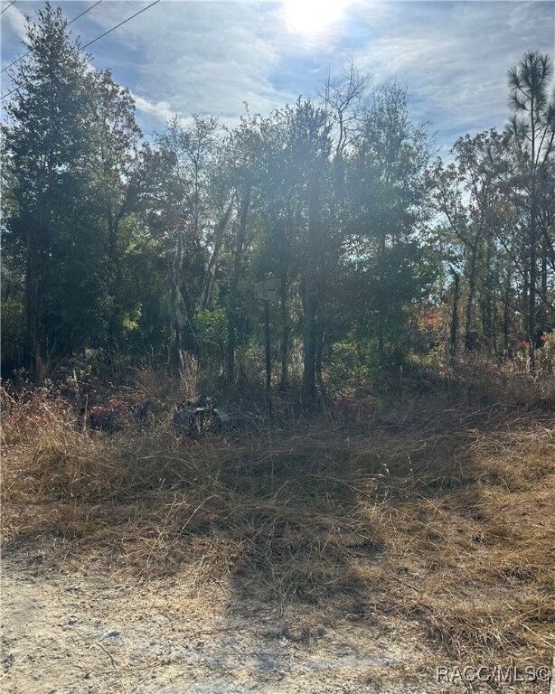 Property Photo: Lot 2 NE 151st Terrace FL 32696