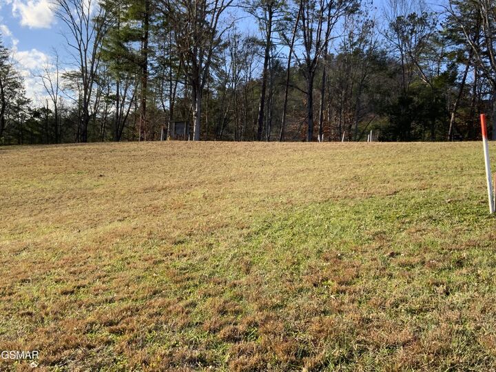 Property Photo: Lot 71 Max Ridge Lane TN 37862
