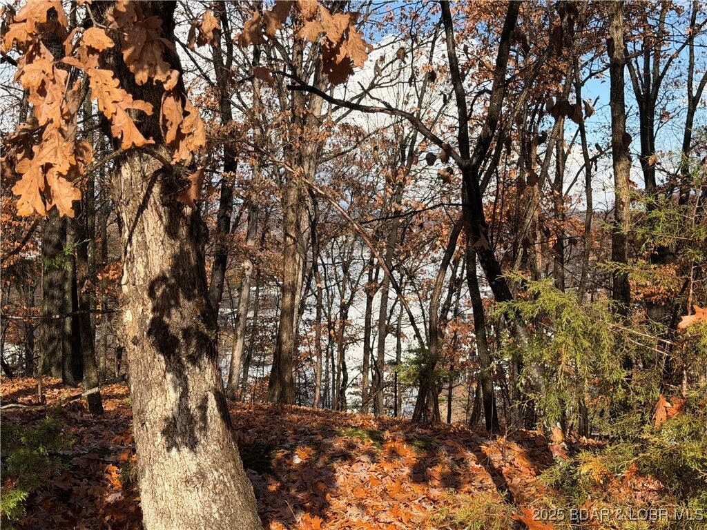 Property Photo: Lot 46 Carol Road MO 65049