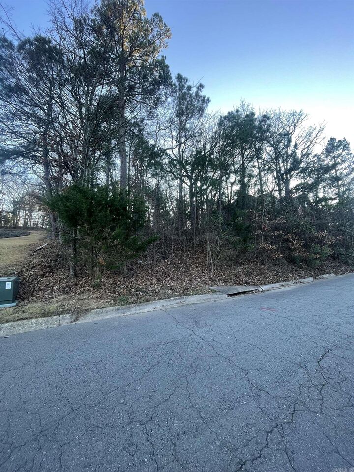 Property Photo:  26 Norfork Drive  AR 72113 