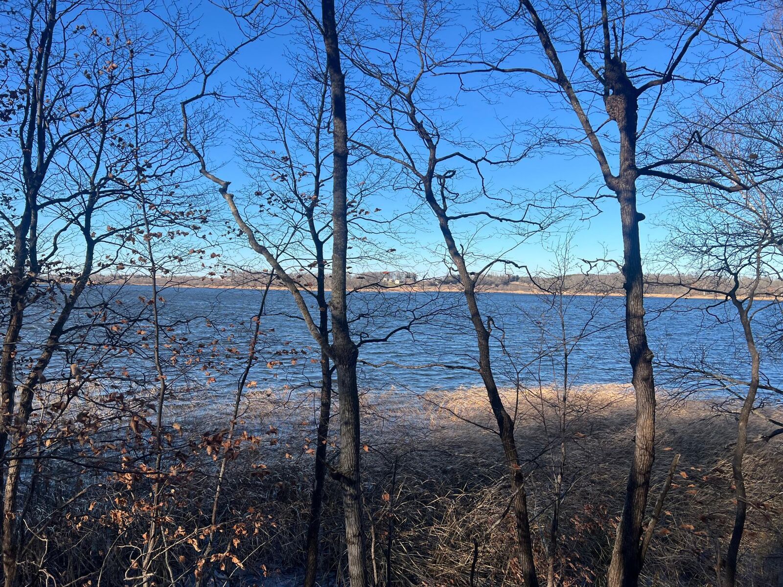 Property Photo: Tbd Moe Hall Road NW MN 56332